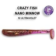 Nano minnow 1.6" 6-40-12-6