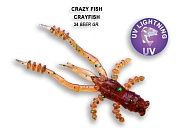 Crayfish 1.8" 26-45-34-6